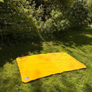 Picknickkleed